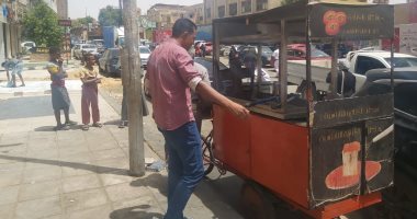 محافظ أسوان يتابع جهود إزالة التعديات والإشغالات بالرديسة وإدفو.. صور