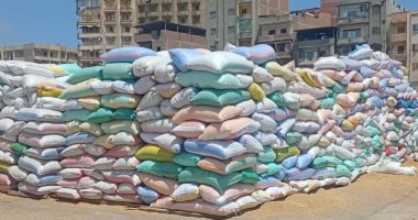مواقع التخزين بالغربية تستقبل 24 ألفا و894 طن قمح منذ بداية الموسم