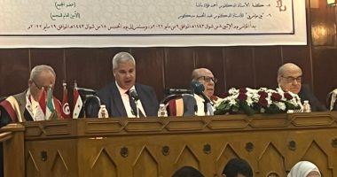 نائب رئيس المحكمة الدستورية: لا بد من الإسراع بقانون لحماية اللغة العربية 