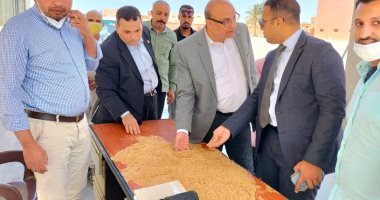 "تموين الإسكندرية ": توريد 6 آلاف طن قمح مطابق للمواصفات حتى الآن.. صور