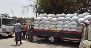 استقبال 18 ألفا و236 طن قمح بـ30 شونة وصومعة بأسيوط منذ بدء التوريد.. صور