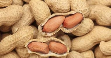 لو تسالي العيد ما خلصتش.. اعرفي الطريقة الصحيحة لحفظها من التلف