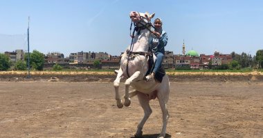 تروض الخيول على أنغام الطبل والمزمار.. فتاة تخطف الأنظار فى الدقهلية.. فيديو