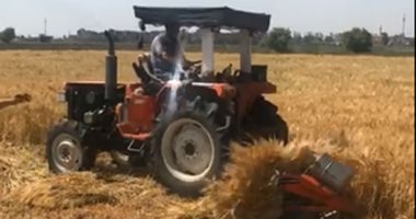 وكيل البحوث الزراعية يتفقد محطة بحوث سدس ببنى سويف