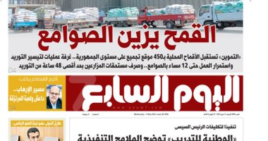 القمح يزين الصوامع.. غدا بـ"اليوم السابع"