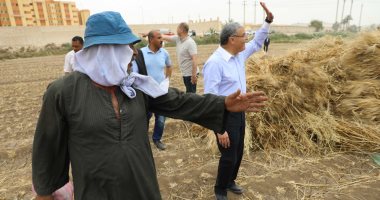محافظا الشرقية والمنيا يتابعان حصاد محصول القمح وتوريده للصوامع