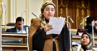 دعاء عريبى "نائبة التنسيقية" تتقدم بمشروع قانون لتعديل "قانون المرور"