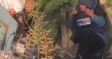 لحظة استشهاد الصحفية الفلسطينية شيرين أبو عاقلة برصاص قوات الاحتلال.. فيديو 