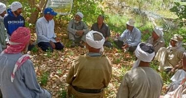 زراعة الوادى الجديد تستكمل فعاليات المدارس الحقلية لزراعات النخيل بالخارجة.. صور