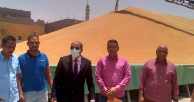 وكيل تموين الأقصر يعلن توريد 6 آلاف و669 طن قمح لشون وصوامع المحافظة.. صور