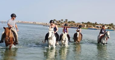 الخيول عشق الأوروبيين.. السائحون يستمتعون بركوبها على شواطئ الغردقة.. صور