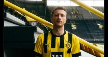 بوروسيا دورتموند يغازل المقاولون العرب .. اعرف التفاصيل 