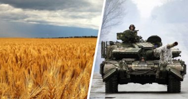 أزمة القمح تهدد العالم بمجاعة بسبب حرب أوكرانيا.. توقعات بانخفاض الاحتياطى العالمى نحو 267 مليون طن.. وإيطاليا: حظر تصدير قمح كييف يزعزع الاستقرار.. واقتراح بإلغاء قيود الشراء من أمريكا اللاتينية