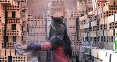 بينحتوا فى الصخر وبيشتغلوا كل حاجة.. سيدات الدقهلية يبحثن عن رزقهن فى مصانع الطوب.. يحملن الحجارة ويصارعن الموت من أجل أبنائهن.. "قشطة" تحمل الطوب منذ 15 عاما لتوفر حياة كريمة لأبنائها السبعة بيومية 50 جنيها