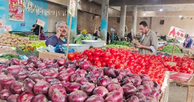 البصل بـ2.5 جنيه والخيار بـ5 والكوسة بـ7.. أسعار الخضروات بالإسماعيلية.. فيديو وصور