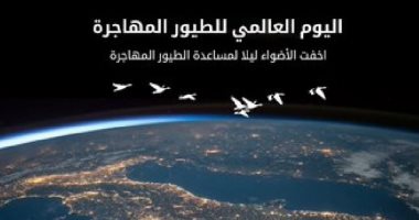 فى اليوم العالمى للتنوع البيولوجى.. مصر محطة استراحة لأكثر من 2 مليون طائر.. 30 محمية طبيعية من القاهرة لأسوان تروى حكايات عن الحياة البرية والنباتية والبحرية.. ومحمية وادى الريان تمتلك تنوعا بيولوجيا نادرا