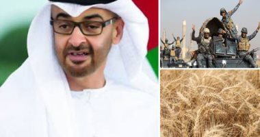  أهم الأخبار العربية والعالمية حتى الظهيرة.. محمد بن زايد رئيسا للإمارات.. العراق يقتل 30 إرهابيا في عمليات عسكرية.. الهند تحظر صادرات القمح بسبب ارتفاع الأسعار.. أوكرانيا تتوقع انتهاء الحرب مع روسيا نهاية العام