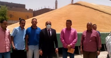الأقصر تواصل عمليات توريد القمح للشون والصوامع بإجمالى 7 آلاف طن قمح.. صور