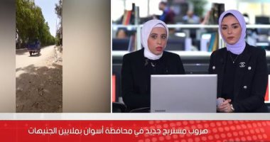 للمرة الثانية خلال يومين.. هروب مستريح جديد فى أسوان بملايين الجنيهات