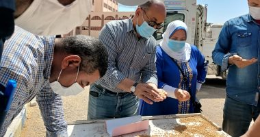 قمح الخير داخل صوامع مصر.. حصاد 39 ألف فدان وتوريد 53 ألف طن بالقليوبية.. كفر الشيخ تستلم 118 ألفا و699 طنا بـ21 موقعا.. توريد 17 ألف طن قمح مطابق للمواصفات بالإسكندرية.. و293 ألف طن لشون الشرقية.. صور