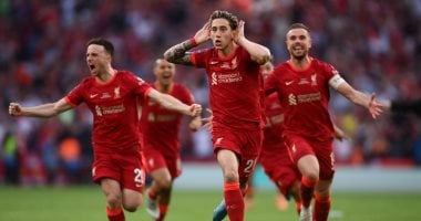 هل احتفل تسيميكاس بكأس الاتحاد الإنجليزي على طريقة مؤمن زكريا؟.. فيديو
