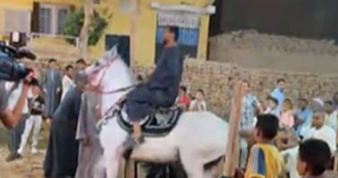  رقص الخيول العربية سيدهشك.. حفلات الزفاف فى الأقصر حاجة تانية خالص