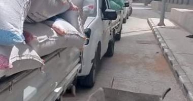 صوامع القنطرة شرق تستقبل 4940 طن قمح منذ بداية الموسم.. صور