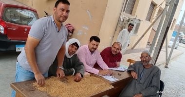 توريد 136 ألفا و528 طنا و834 كيلو قمح محلي بـ 21 موقعا فى كفر الشيخ