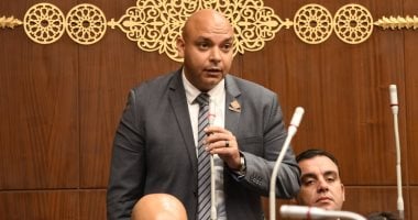 محمود القط: ضعف الإنترنت يشكك فى أداء الامتحانات إلكترونيا.. ورئيس الشيوخ يتضامن