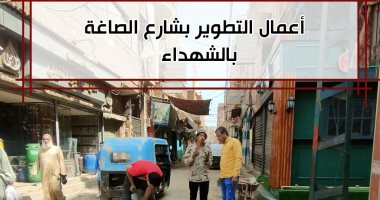 متابعات ميدانية للأعمال التحضيرية لرصف طريق سلامون بحرى - كفر الجلابطة بالمنوفية
