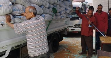 صباح الخير والرزق.. القمح نازل منور من العربيات رايح صوامع المنيا "فيديو لايف"