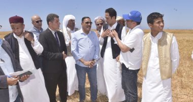 محافظ مطروح يتابع حصاد الشعير على 200 ألف فدان تروى بالأمطار.. صور