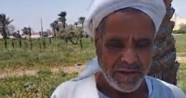 "عسل مصفى".. تعال اسمع حكاية "عم سالم" بقاله 50 سنة بيزرع بطيخ.. بث مباشر
