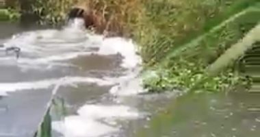 أهالى عزبة أبو النور يناشدون حل مشكلة إلقاء صرف المصانع.. ومحافظ بنى سويف يرد