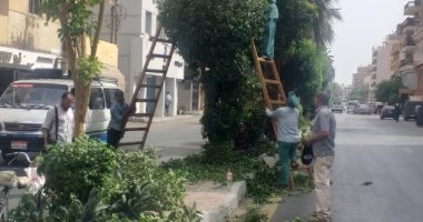 استكمال زراعة وصيانة المسطحات الخضراء وقص وتقليم 88 شجرة بمدينة الأقصر.. صور