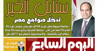 سنابل الخير تدخل صوامع مصر.. غدا باليوم السابع