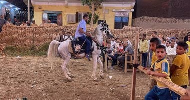 رقصات الخيول المبهجة.. فن وسحر خاص فى احتفالات أهالى الأقصر.. فيديو
