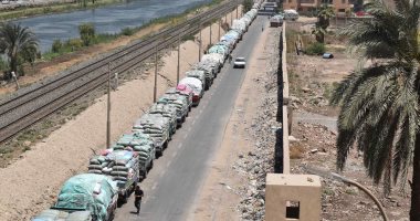 محافظ المنيا: استقبال 261 ألف طن قمح بالشون والصوامع الحكومية