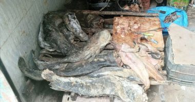 ضبط أسماك مملحة غير صالحة للاستهلاك الآدمى خلال حملة بأسوان