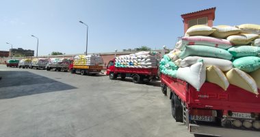 توريد 174949 طن قمح للشون والصوامع بمحافظة البحيرة.. صور