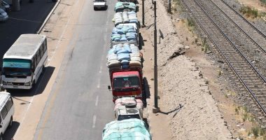 محافظ المنيا: انتظام توريد الأقماح واستقبال 278 ألف طن بالشون والصوامع الحكومية