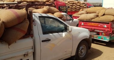 محافظ بني سويف: استلام أكثر من 105 آلاف طن قمحا بالصوامع والشون