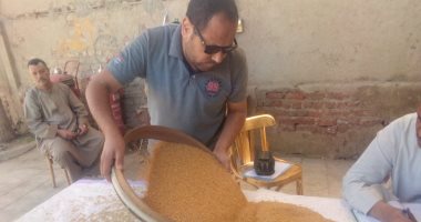 نهر الذهب الأصفر يتدفق.. صوامع الخير فى المحافظات تتزين بمحصول القمح.. استقبال 261 ألف طن بالشون فى المنيا.. وتوريد 8874 طنا بالأقصر وحصاد 45 ألف فدان وتوريد 89 ألف طن بالقليوبية.. والمخزون الاستراتيجى آمن