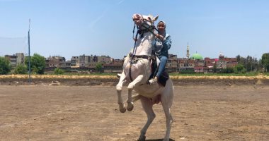 برنسيسة الخيل.. قصة فتاة تلجم الخيل فى المناسبات والأفراح الشعبية.. روضة عوض 16 عاما تخطف الأنظار بترويضها للخيول على الطبل والمزمار البلدى.. احترفت ركوب الخيل منذ طفولتها.. وذاع صيتها فى ربوع مصر بجرأتها