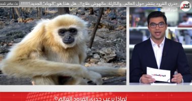 ليس له علاج.. لماذا يرعب جدري القرود العالم؟