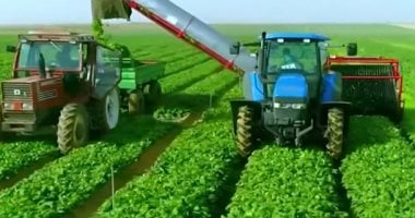 التليفزيون هذا المساء.. الزراعة: استصلاح الأراضى الصحراوية يأتي في إطار تحقيق الأمن الغذائي