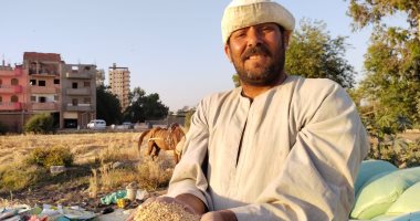 موسم حصاد "الخير" فى القليوبية.. المحافظ يجتمع بكبار المزارعين ويشدد على توريد القمح فى الموعيد المحددة.. ارتفاع الإنتاجية بنسبة 30% وإنتاج الفدان يصل لـ 25 إردبا.. والزراعة: حصاد 45.5 ألف فدان وتوريد 99 ألف طن