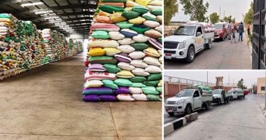 سنابل الخير تزين صوامع مصر.. توريد 9888 طن قمح ببورسعيد.. و98 ألف طن داخل 22 موقعا تخزينيا بالغربية.. استلام أكثر من 105 آلاف طن فى شون وصوامع بنى سويف.. وتوريد 42 ألف طن بالإسكندرية.. صور