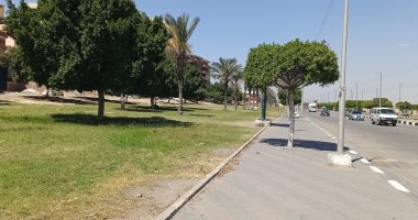 طقس معتدل بالإسماعيلية والعظمى 29.. وسيولة مرورية بشوارع المحافظة.. فيديو