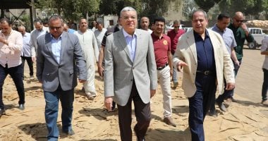 شون وصوامع المنيا تستقبل 309 آلاف طن من محصول القمح بجميع المراكز